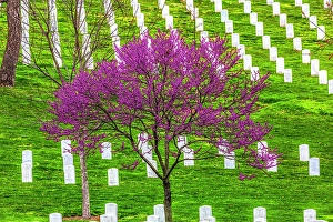 Images Dated 2nd September 2024: Arlington National Cemetery, Washington DC