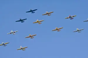 Air Plane Prints: Armada of North American T-6 Texans in War Birds Formation fly over, Ea Air Show