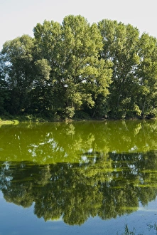 Images Dated 25th July 2008: Arno River at Ponte Buriano, Ponte Buriano, Arezzo Province, Tuscany, Italy, Europe