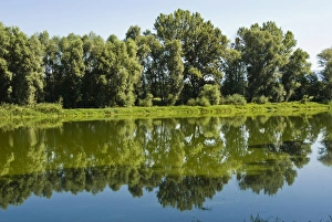 Tuscan Prints: Arno River at Ponte Buriano, Ponte Buriano, Arezzo Province, Tuscany, Italy, Europe