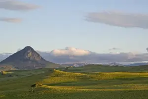 Augusta Prints: Arrowleaf balsamroot covers the foothills near Haystack Butte at the southern end