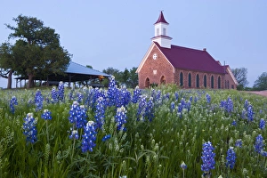 Images Dated 2nd April 2012: Art Methodist Church and bluebonnets near Mason, Texas