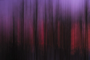 Rona Schwarz Prints: Artistic abstract of trees at sunset above the Upper Mississippi, Le Claire Iowa