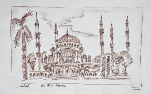 Turkey Gallery: Artwork by Scott Lawrence