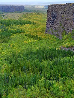 Vatnajokull Prints: Asbyrgi canyon in Vatnajokull National Park