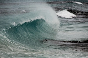 Images Dated 29th March 2007: Asia Australia Tasmania Friendly Beach Breakers 2