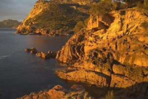 Images Dated 29th March 2007: Asia Australia Tasmania Sleepy Bay Sunrise