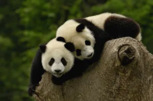 Asia, China