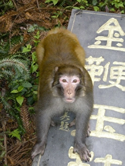Images Dated 6th April 2007: Asia, China