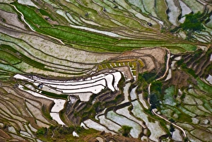 Images Dated 16th April 2010: Asia, China
