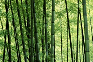 Asia, China
