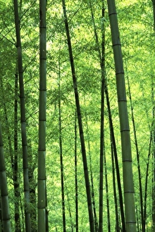 Asia, China
