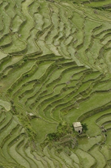 Asia, China