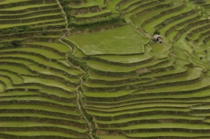 Asia, China