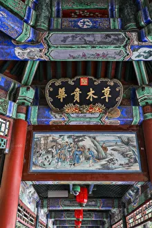 Asia, China, Beijing, Ceiling Detail at the Summer Palace of Empress Cixi