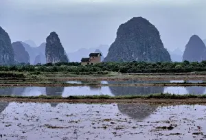 Rice Paddy Prints: Asia, China, Guilin. A lone house oversees ponds by the karst formations near Guilin