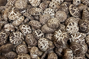 Images Dated 18th January 2010: Asia, China, Hong Kong. Dried mushrooms