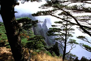 Yellow Mountain Prints: Asia, China, Huanshan. The yellow mountain