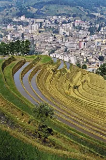 Asia, China, Yunnan