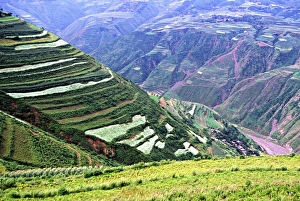 Arable Prints: Asia, China, Yunnan, Dongchuan. Green crops cover terraces in canyons of red earth