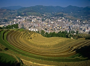 Paddy Prints: Asia, China, Yunnan Province, Jinping. Jinping below terraced farm fields