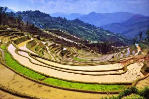 Elevated View Prints: Asia, China, Yunnan Province, Yuanyang County. Flooded Laohu Zui rice terraces near