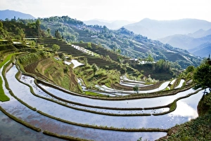 Images Dated 21st April 2007: Asia, China, Yunnan Province, Yuanyang County. Sun reflects off flooded Laohu Zui