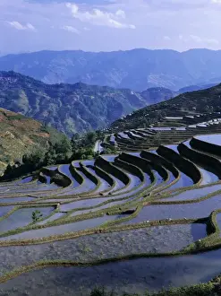 Arable Prints: Asia, China, Yunnan, Yuanyang. Rugged mountainside covered with flooded rice terraces