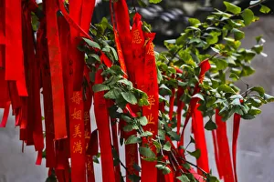 Images Dated 1st June 2020: Asia, China, Zhujiajiao ( Venice of the East ), Red Ribbons of Wish to a Higher