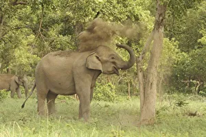 Asia, India