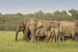 Asia, India