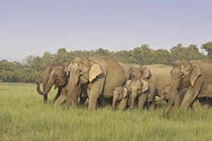 Asia, India