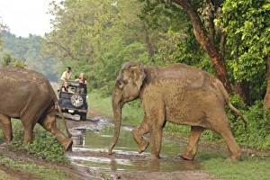 Images Dated 8th June 2008: Asia, India