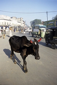 Asia, India