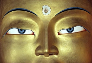 Asia, India