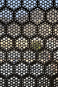 Screen Prints: Asia, India, Amer. Lattice window screen at Amber Palace