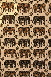 Claudia Adams Prints: Asia, India, Jaipur. Hand crafted tapestry