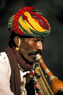 Jodhpur Prints: Asia, India, Jodhpur. Snake chamber and horn in Gardens of Mandor. MR