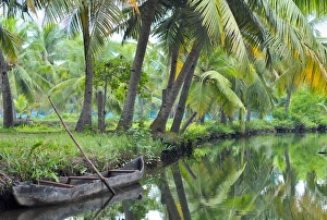 Images Dated 31st March 2007: Asia, India, Kerala (Backwaters). A dugout canoe tied up alongside a Kerala Backwaters