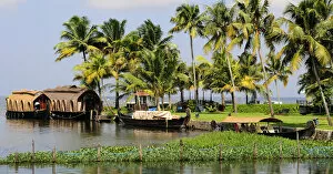 Images Dated 1st April 2007: Asia, India, Kerala (Backwaters). Houseboats docked along shore at the Kumarakom Resort