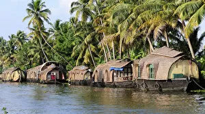 Images Dated 1st April 2007: Asia, India, Kerala (Backwaters). Kerala houseboats docked alongside a Backwaters canal