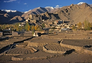 Little Tibet Prints: Asia, India, Ladakh, Leh. Leh, the main town in Ladakh, India, sit on a high plateau