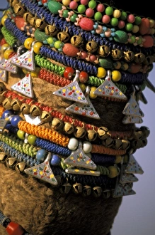 Pushkar Prints: Asia, India, Pushkar. Camels necklaces, Pushkar Camel Festival