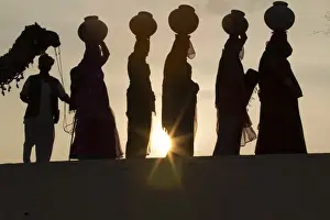 Images Dated 20th January 2014: Asia, India, Rajasthan, Manvar, desert, sand dunes