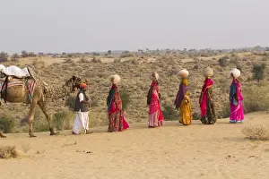 Images Dated 20th January 2014: Asia, India, Rajasthan, Manvar, desert, sand dunes