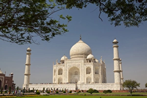 India Gallery: Asia, India. Taj Mahal with trees above as framing element