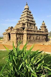 Images Dated 27th March 2007: Asia, India, Tamil Nadu, Mahabalipuram. The Shore Temple complex