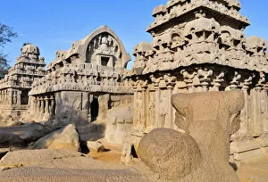 Images Dated 27th March 2007: Asia, India, Tamil Nadu, Mahabalipuram. Part of the Five Rathas complex of temples