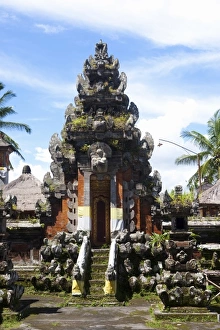 Images Dated 22nd January 2010: Asia, Indonesia