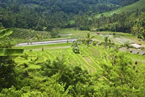 Asia, Indonesia